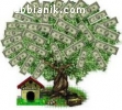 Are you looking for Finance?