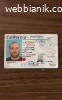 Driver's License, Passport, ID