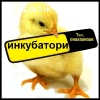 Инкубатори