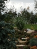 MAGIC GREEN LAND - MGL